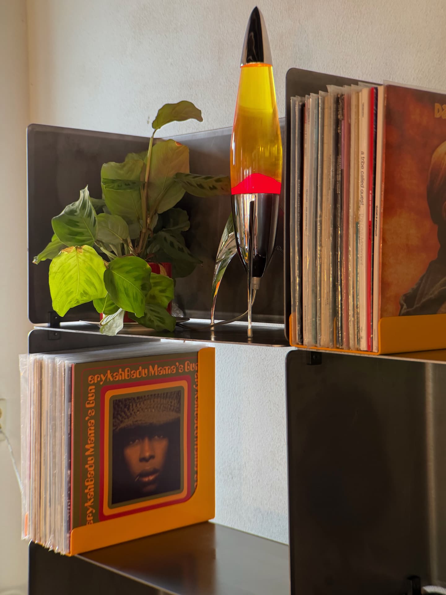 Upper shelves with plant, lava lamp and records